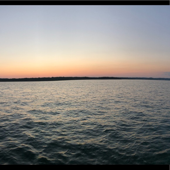 Meet your Posher, Sophie - Picture 1 of 1